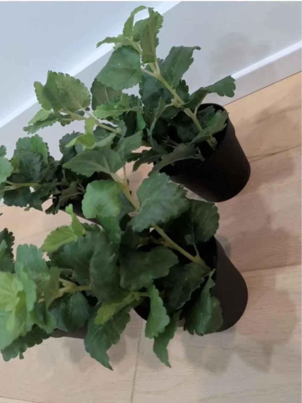 SET LOT OF 4 IKEA FEJKA Artificial Faux Fake Potted Plants Herb 302.341.68